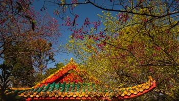  嘉道理农场暨植物园